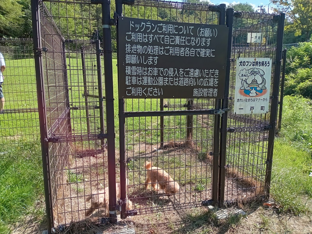 一戸町役場 総合運動公園 ドッグランの実際の写真