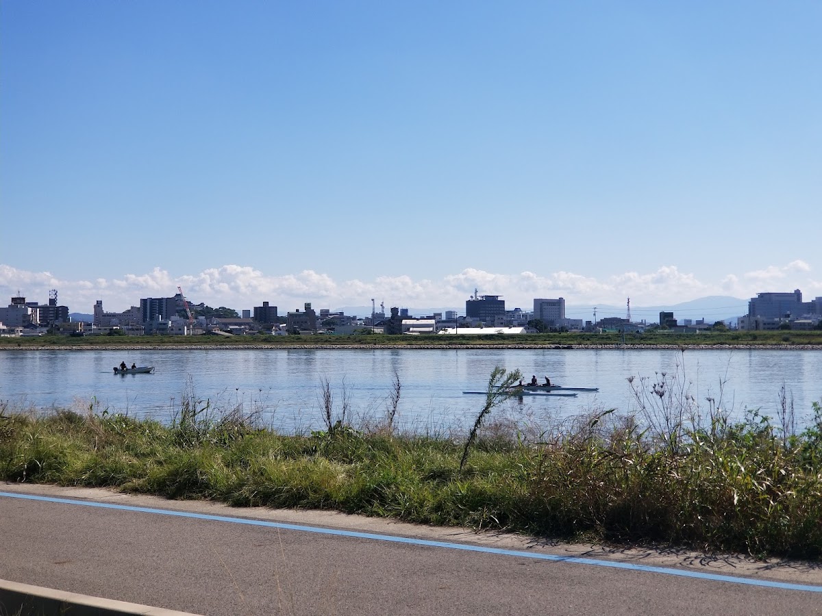 紀の川第1緑地ドッグランの実際の写真