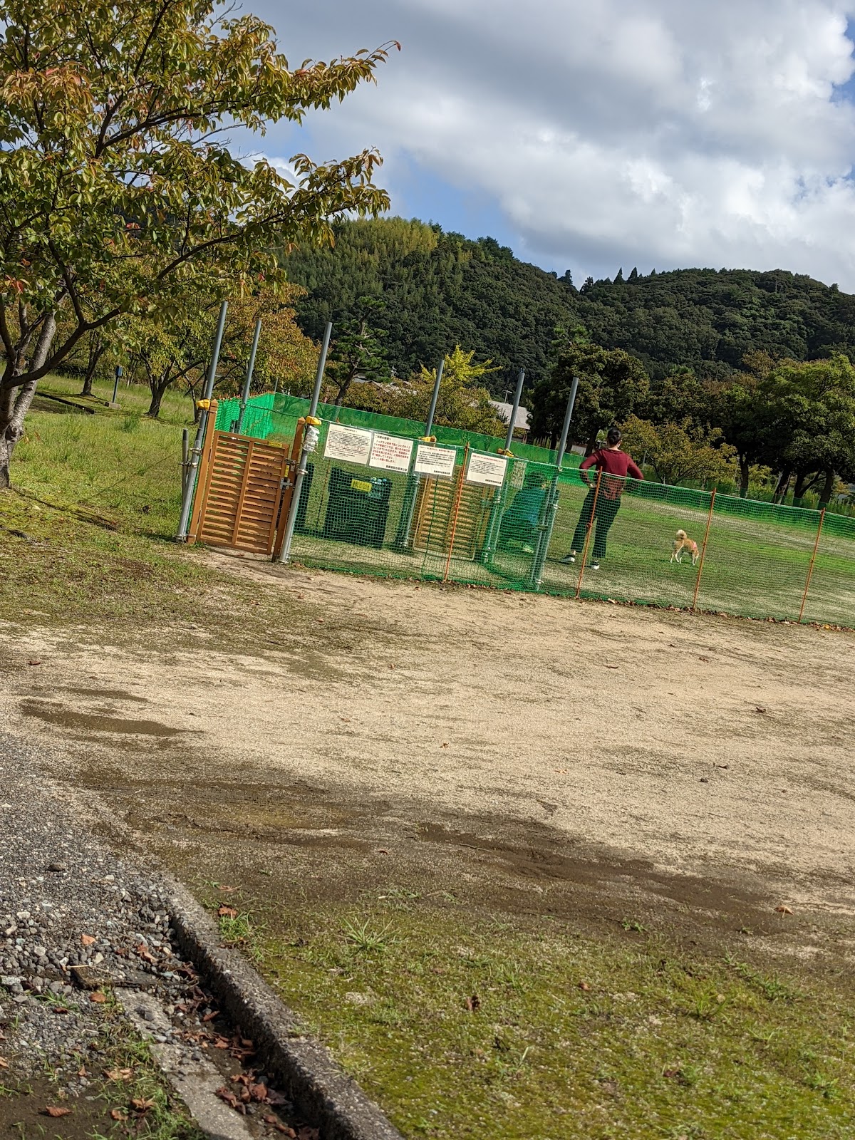 ドッグラン 東郷湖羽合臨海公園