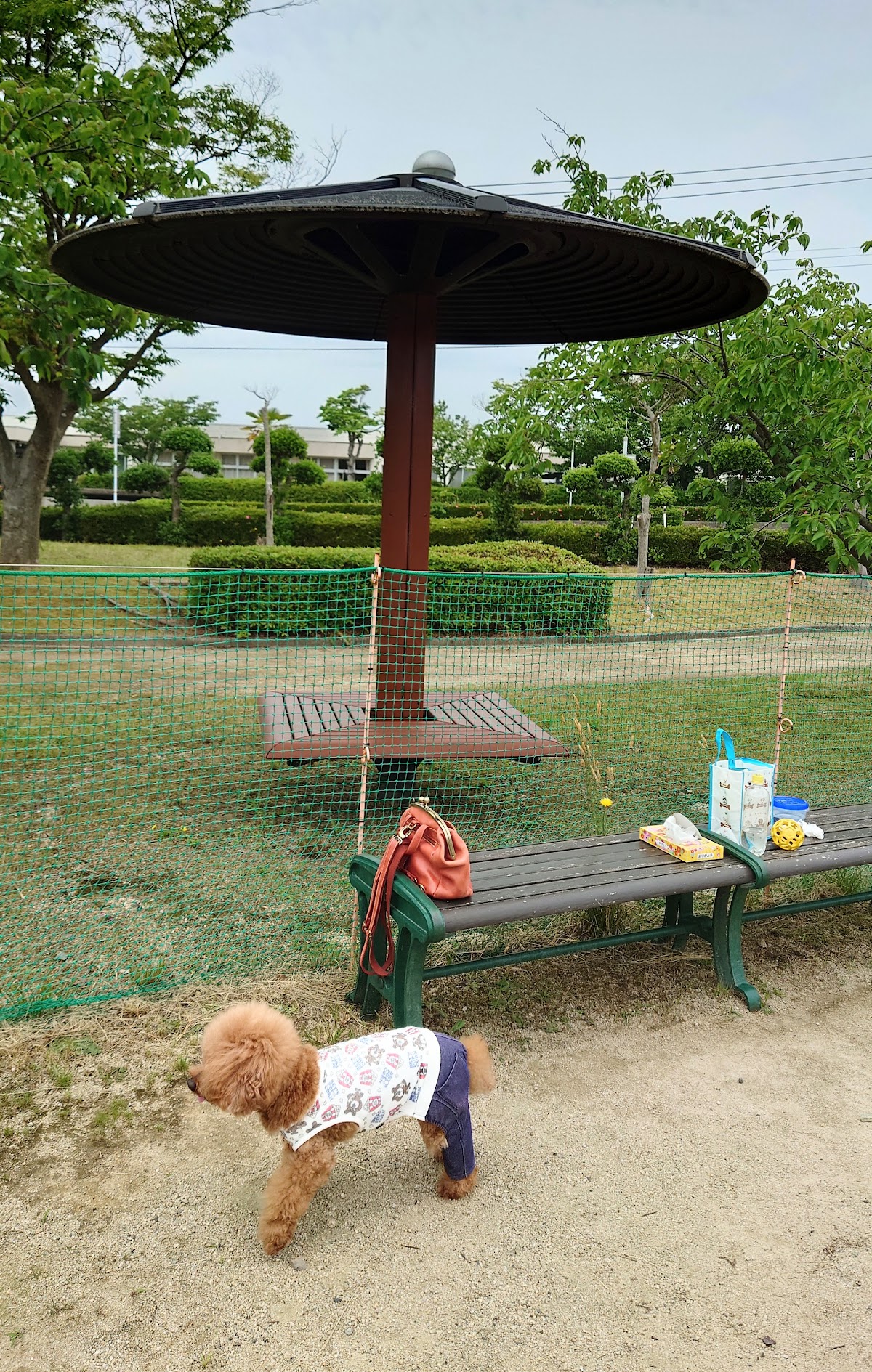 ドッグラン 東郷湖羽合臨海公園の実際の写真