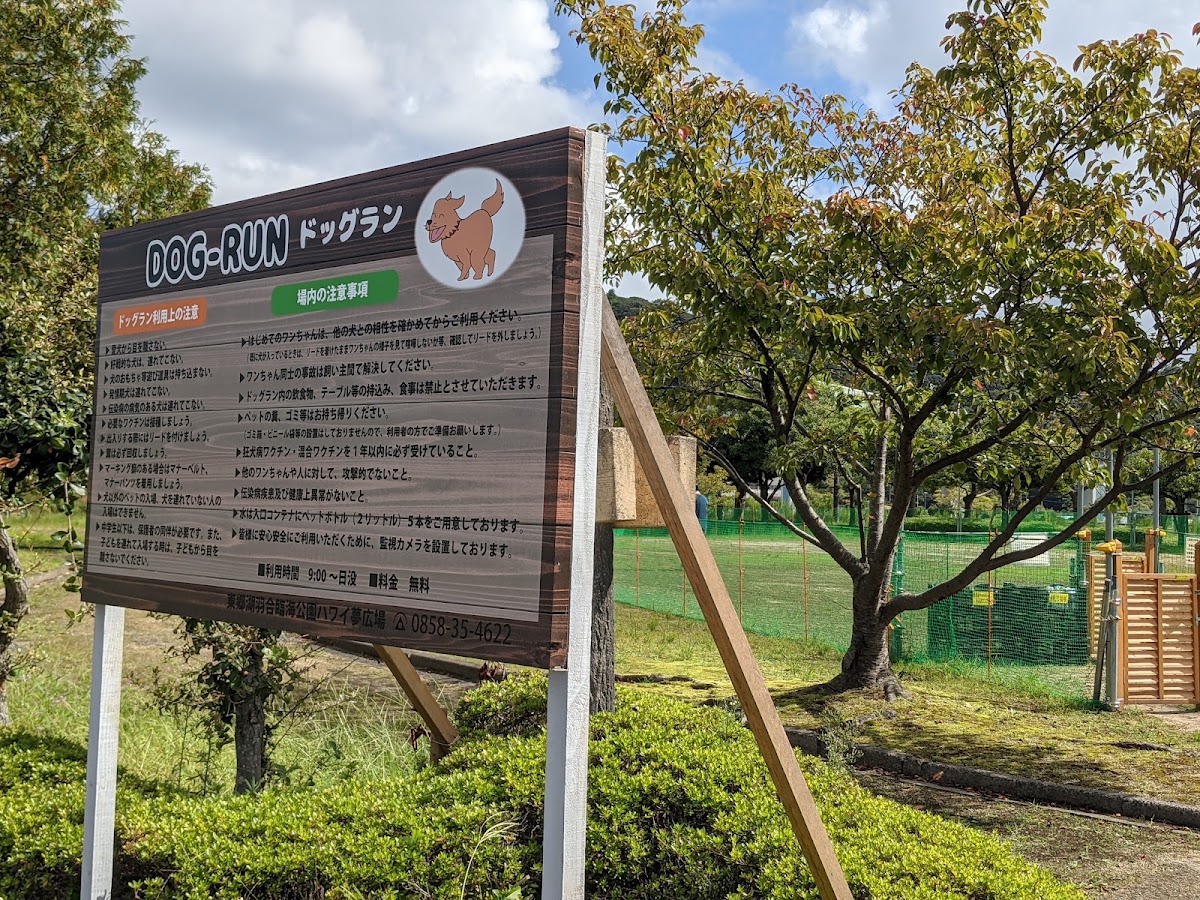 ドッグラン 東郷湖羽合臨海公園の実際の写真