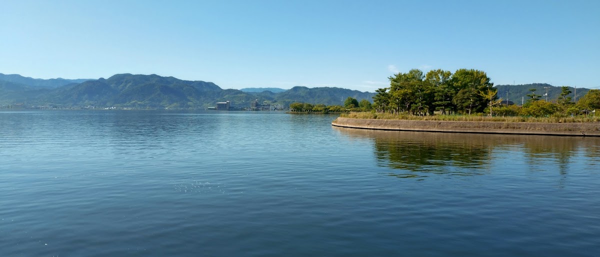 ドッグラン 東郷湖羽合臨海公園の実際の写真