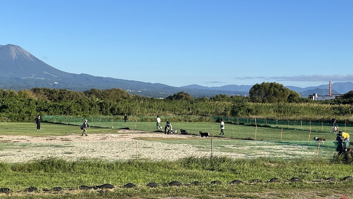 日野川ドッグラン