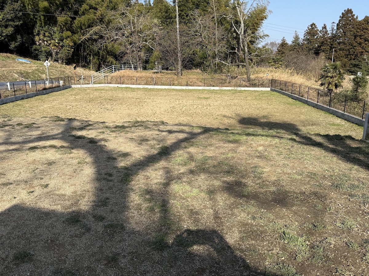 スカイドッグラン ‘SKY Dog run’の実際の写真