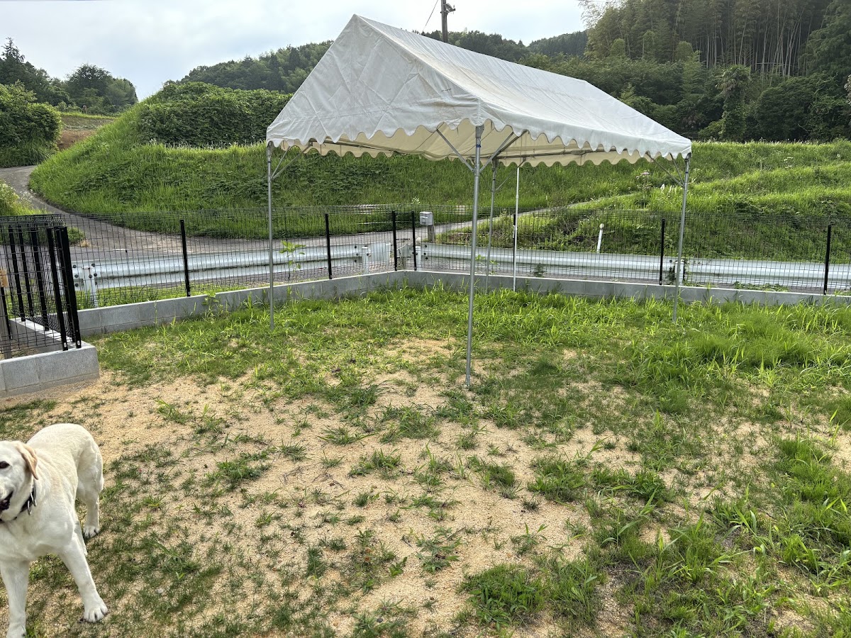 スカイドッグラン ‘SKY Dog run’の実際の写真