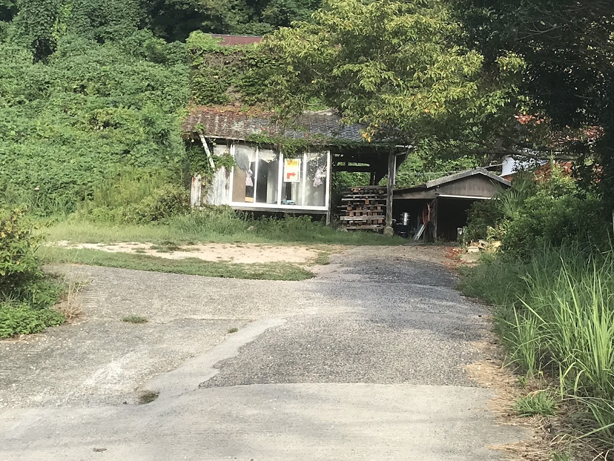 空庭ドッグランの実際の写真