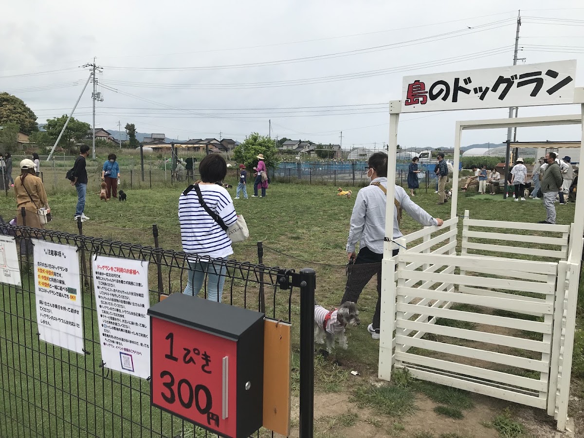 大根島ドッグランの実際の写真