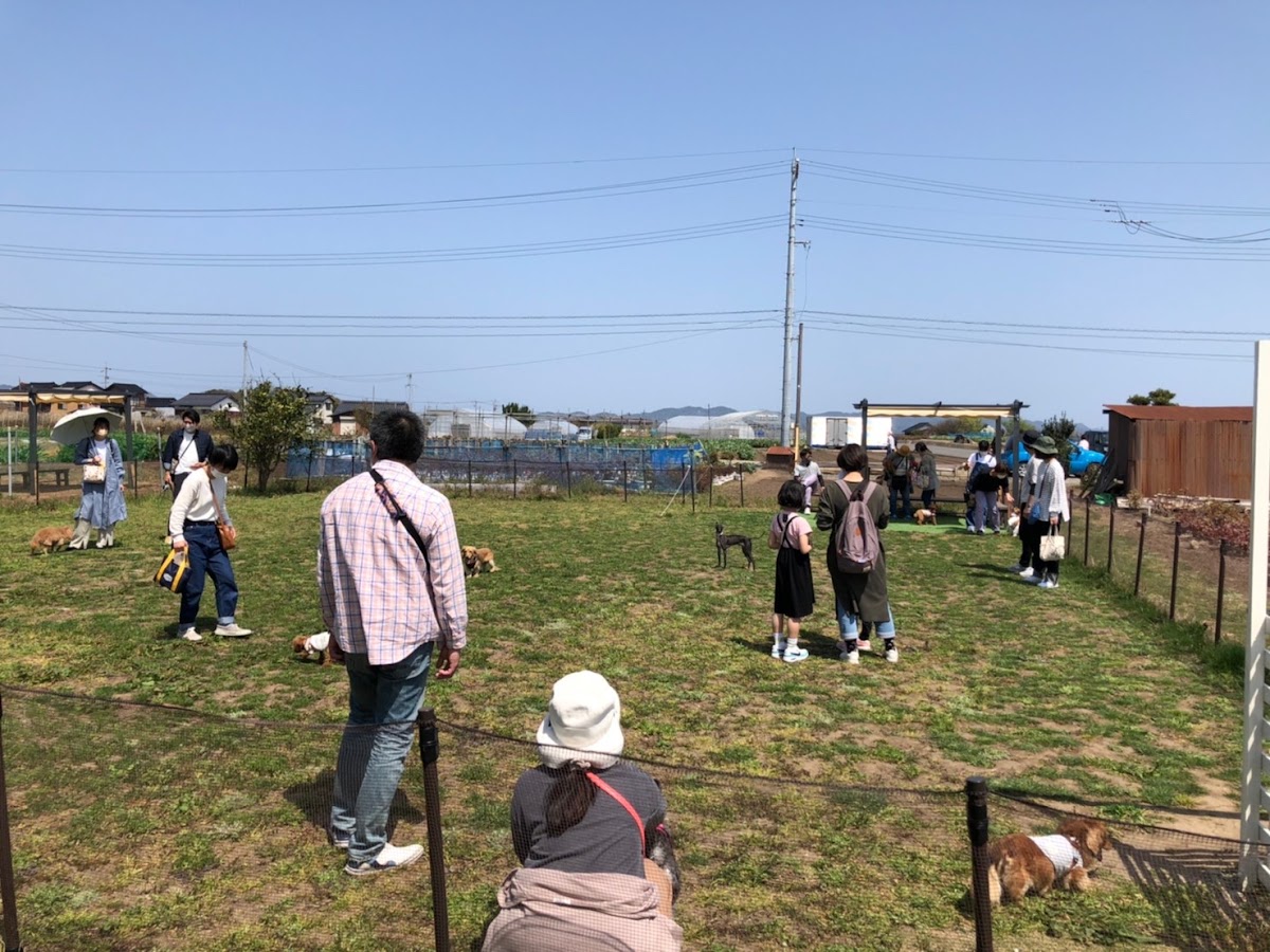 大根島ドッグランの実際の写真