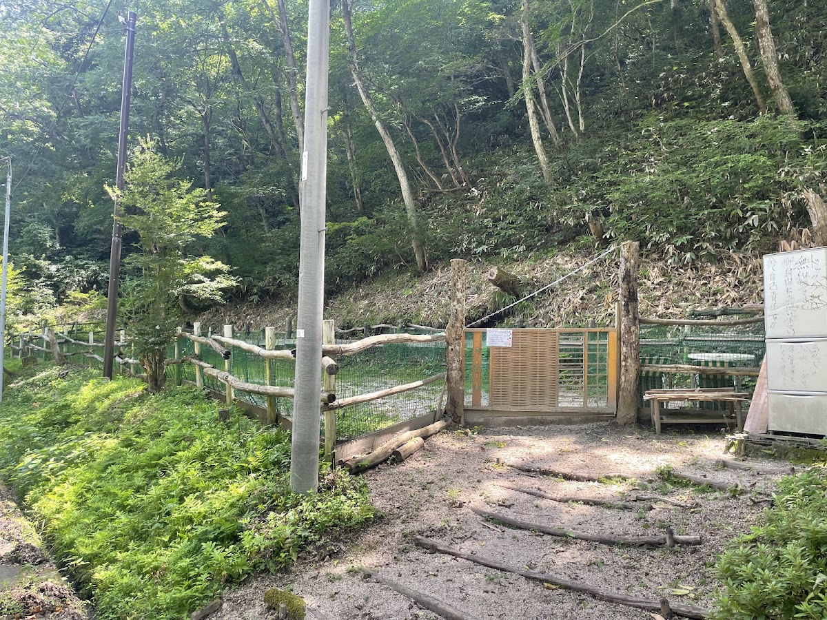 鬼の舌震 ドッグラン