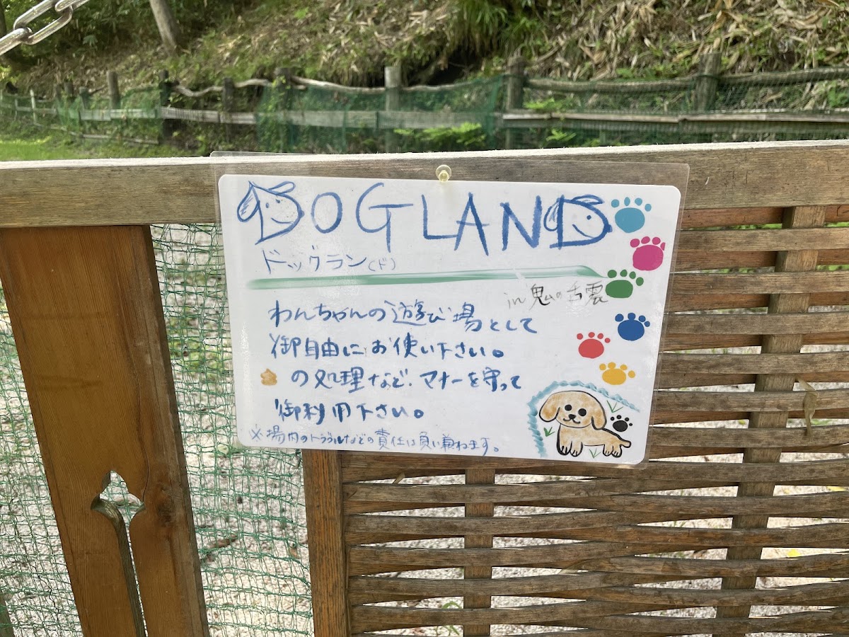 鬼の舌震 ドッグランの実際の写真