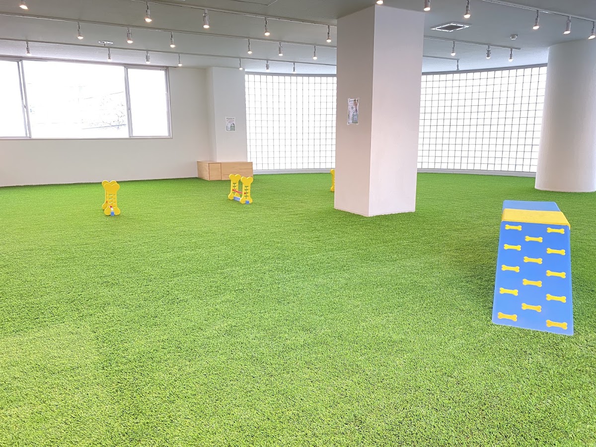 GRASS倉敷店-全天候対応の室内ドッグラン-の実際の写真