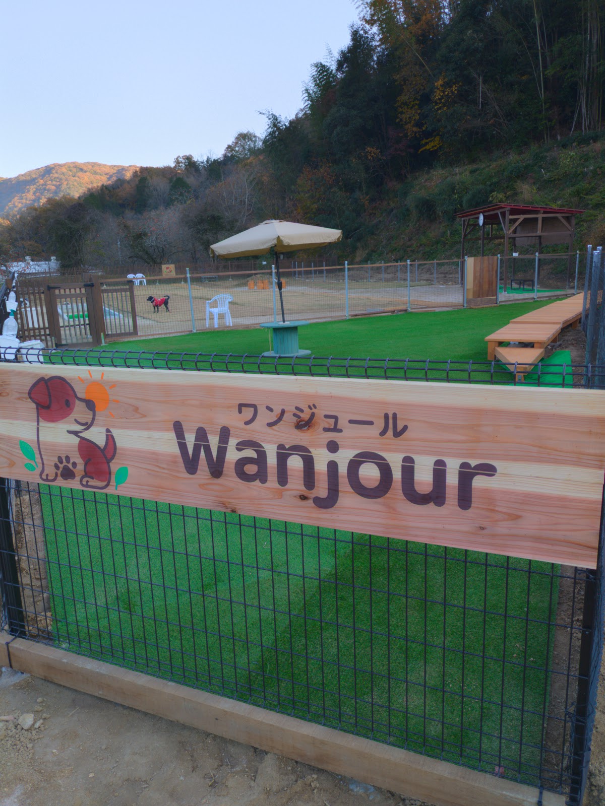 ドッグラン Wanjour(ワンジュール)の実際の写真