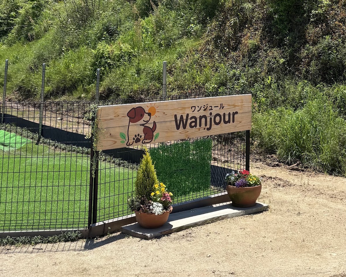 ドッグラン Wanjour(ワンジュール)の実際の写真