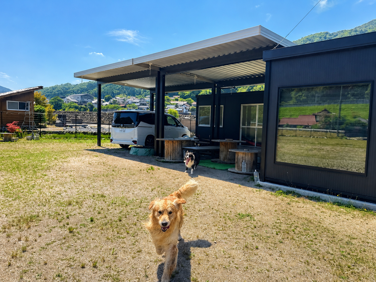 ドッグラン ROAN キャンプ広島の実際の写真