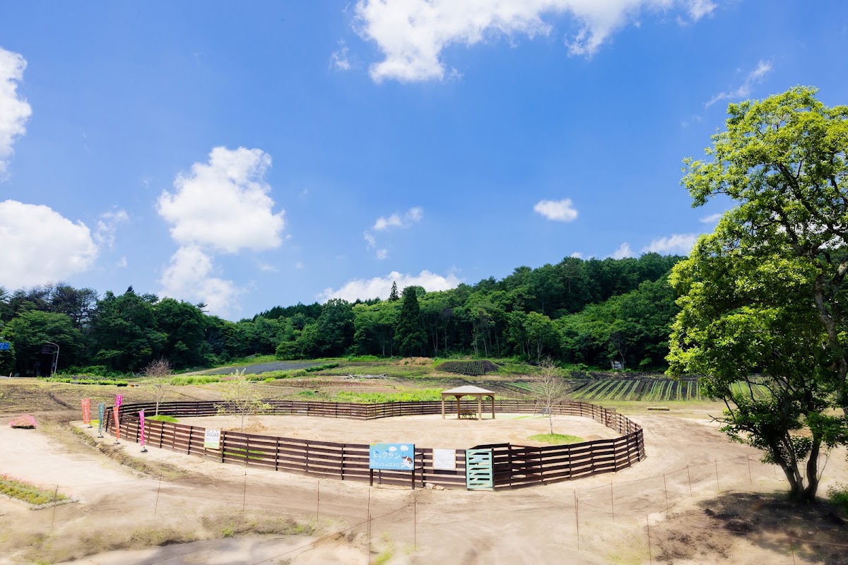 冠高原ドッグパーク ハヤシミドリの実際の写真