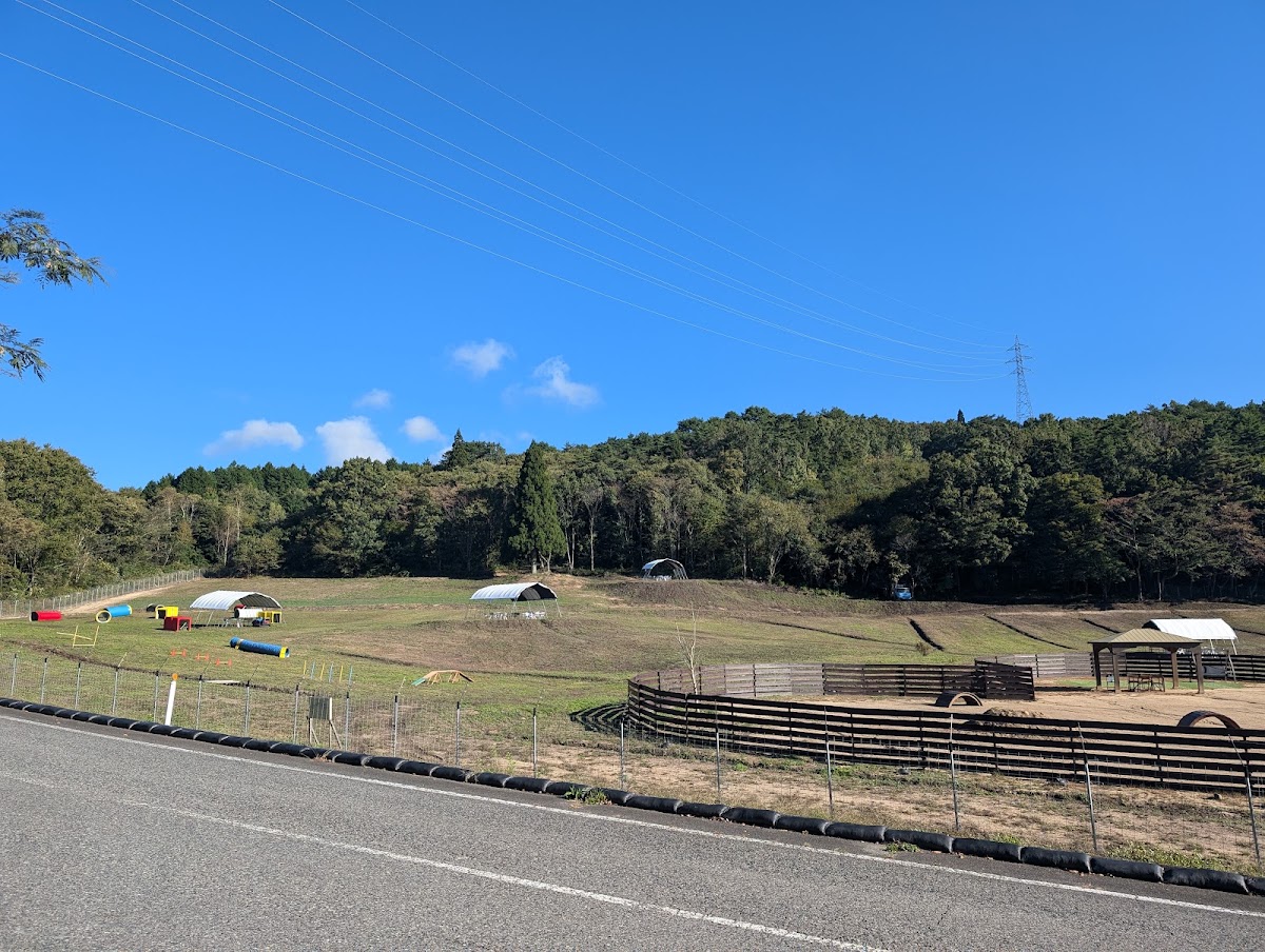 冠高原ドッグパーク ハヤシミドリの実際の写真