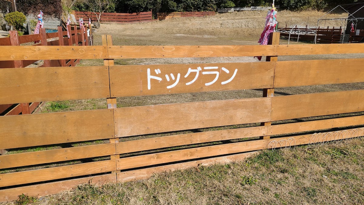 ドッグラン Dog familyの実際の写真