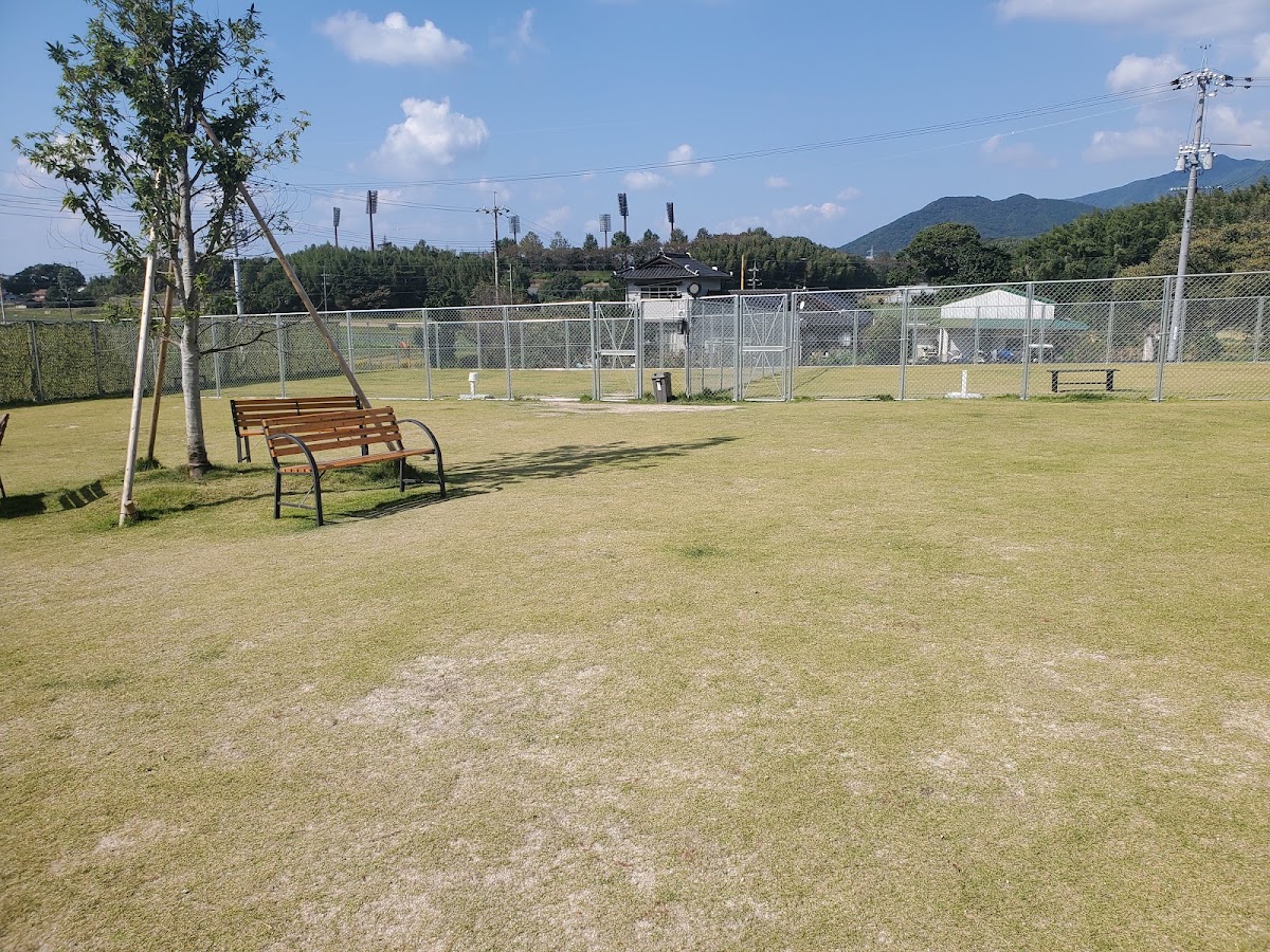 池ヶ丘ドッグラン公園の実際の写真