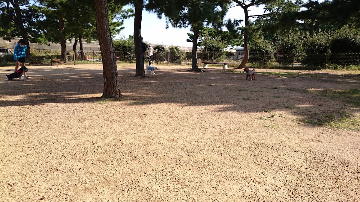 アズマ建設 ドッグラン川内