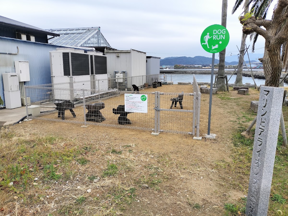 徳島新鮮なっとく市ドッグラン
