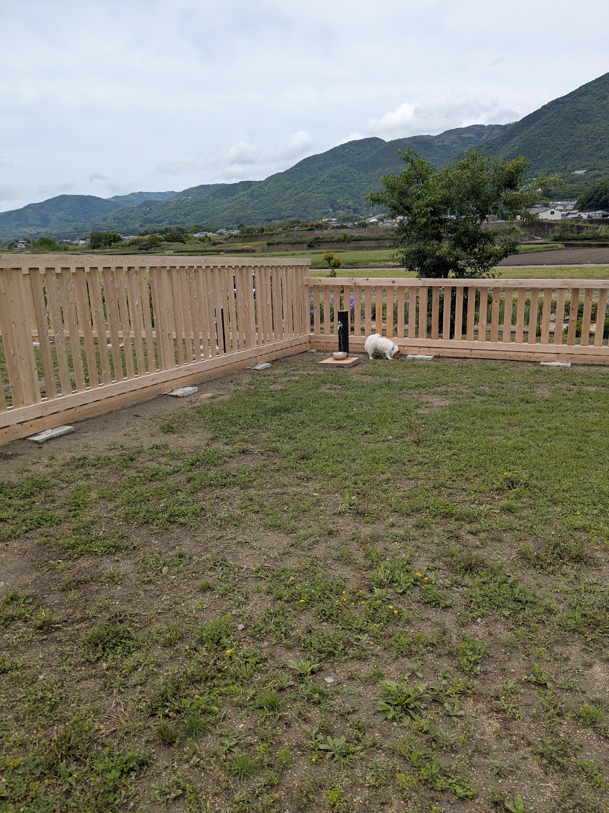 水辺の楽校中鳥川公園ドックランの実際の写真