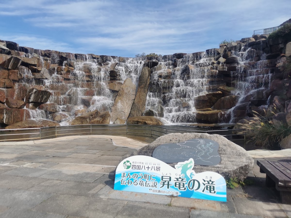 国営讃岐まんのう公園・ドッグランの実際の写真