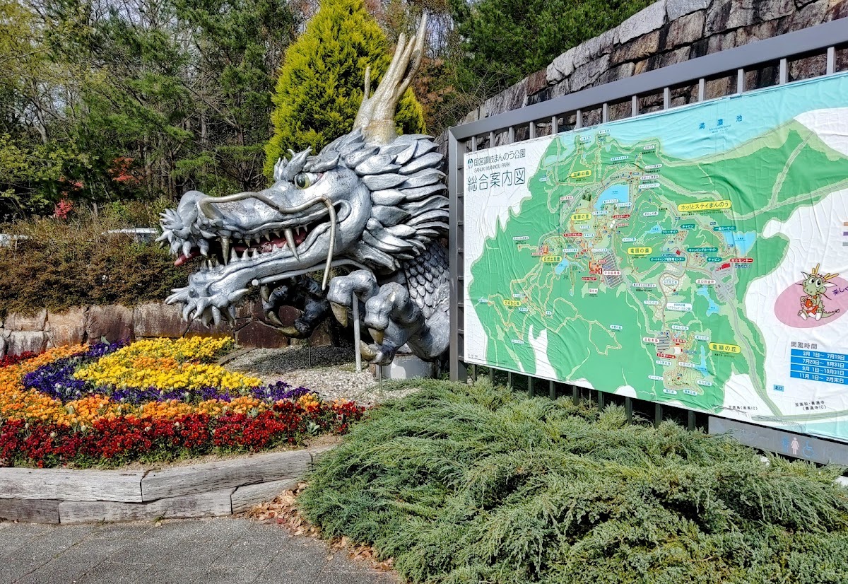 国営讃岐まんのう公園・ドッグランの実際の写真