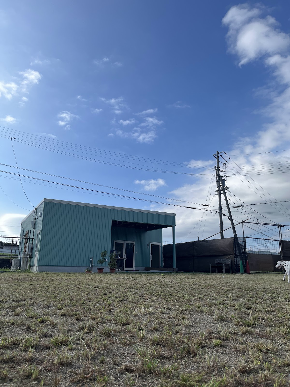 dog base polako (ポラーコ)の実際の写真