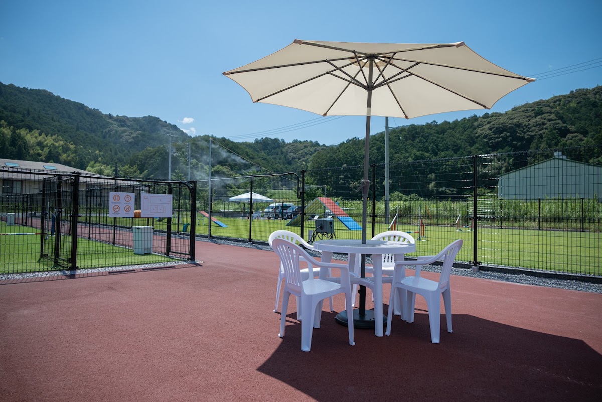 Tinee Dog Park（タイニー ドック パーク）