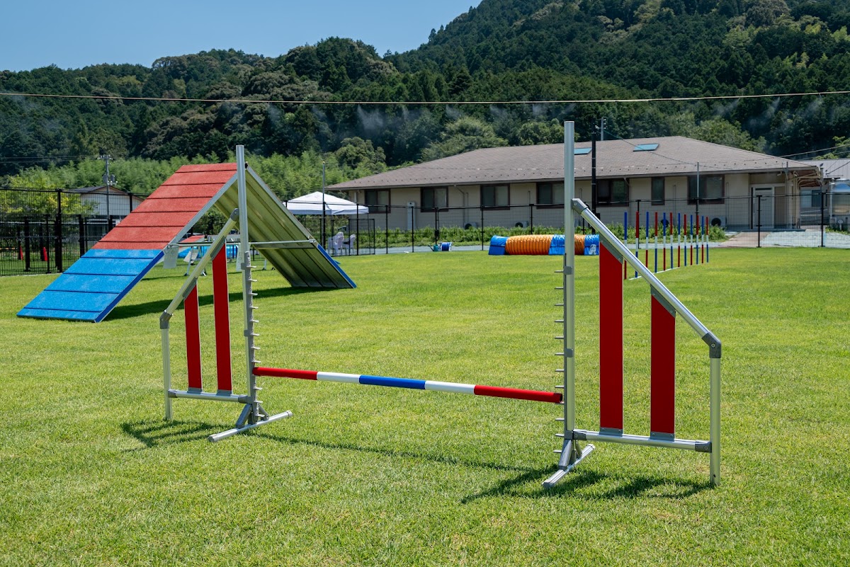 Tinee Dog Park（タイニー ドック パーク）の実際の写真