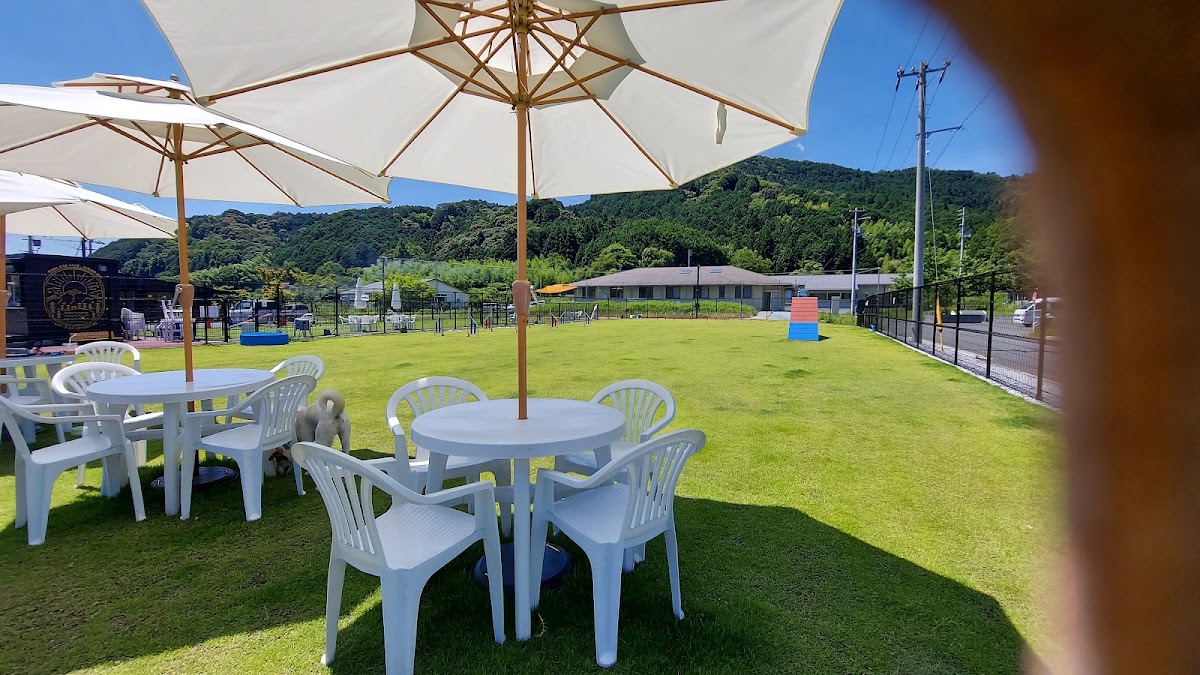 Tinee Dog Park（タイニー ドック パーク）の実際の写真