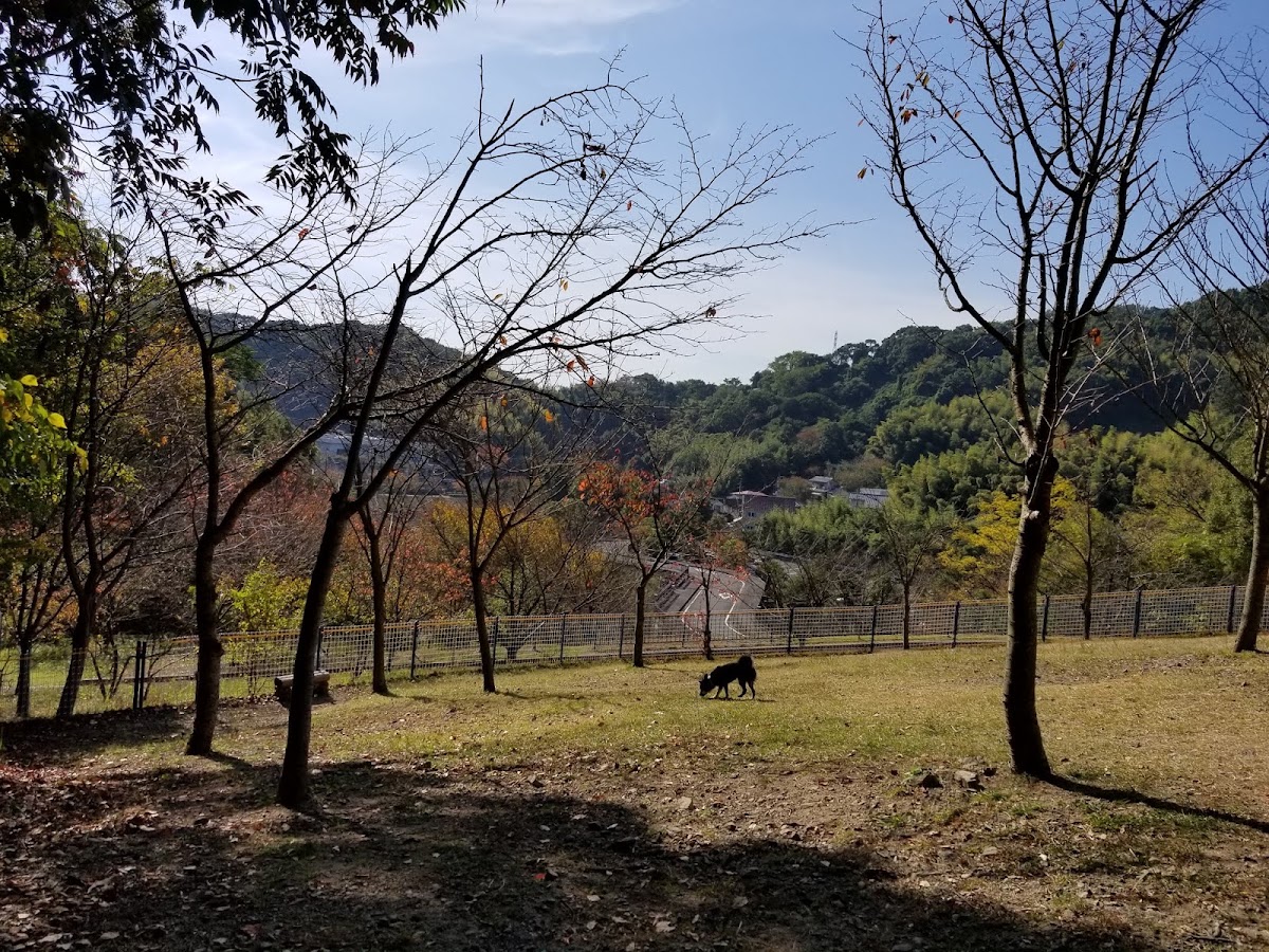 松山総合公園ドッグラン