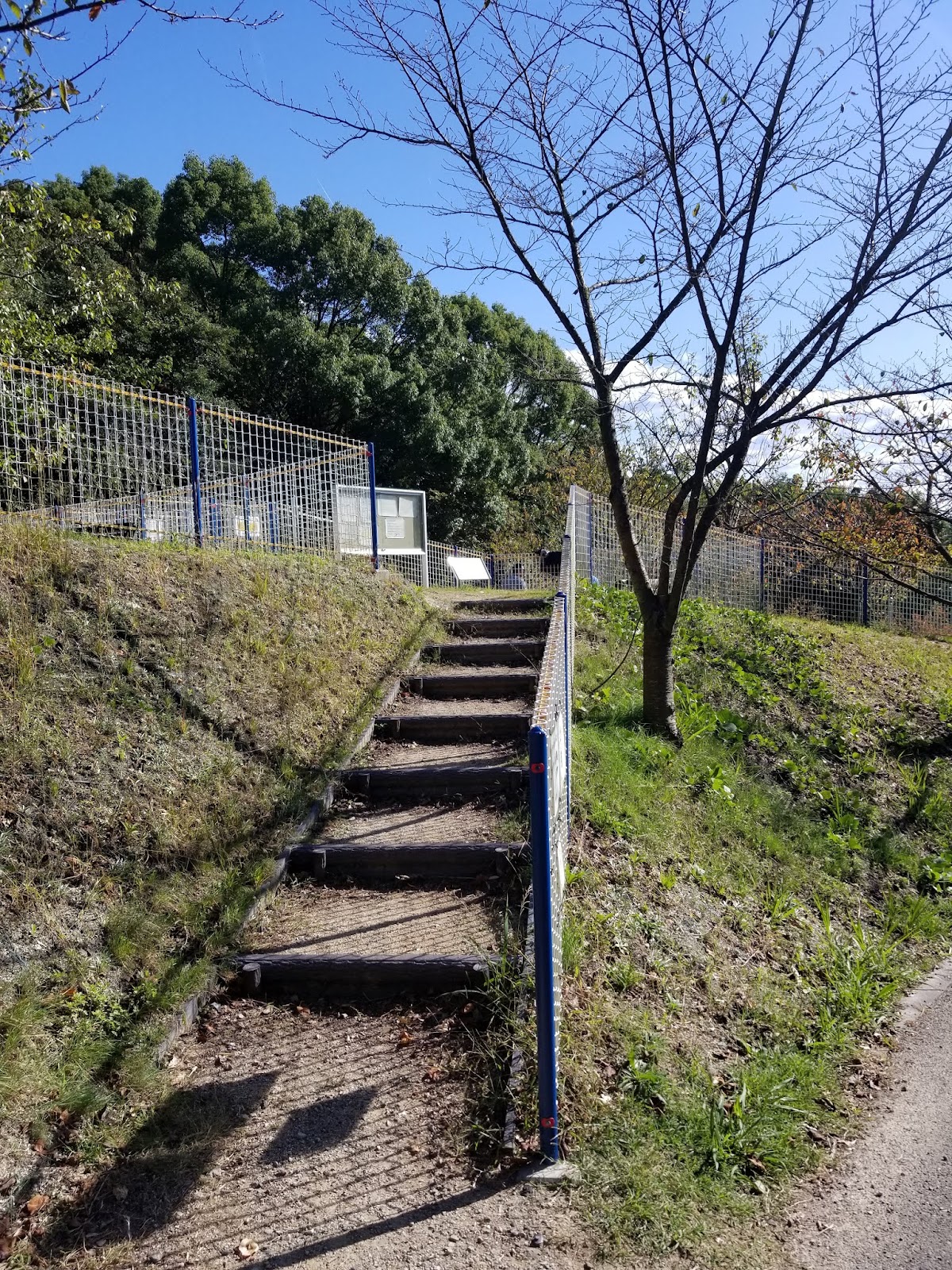 松山総合公園ドッグランの実際の写真
