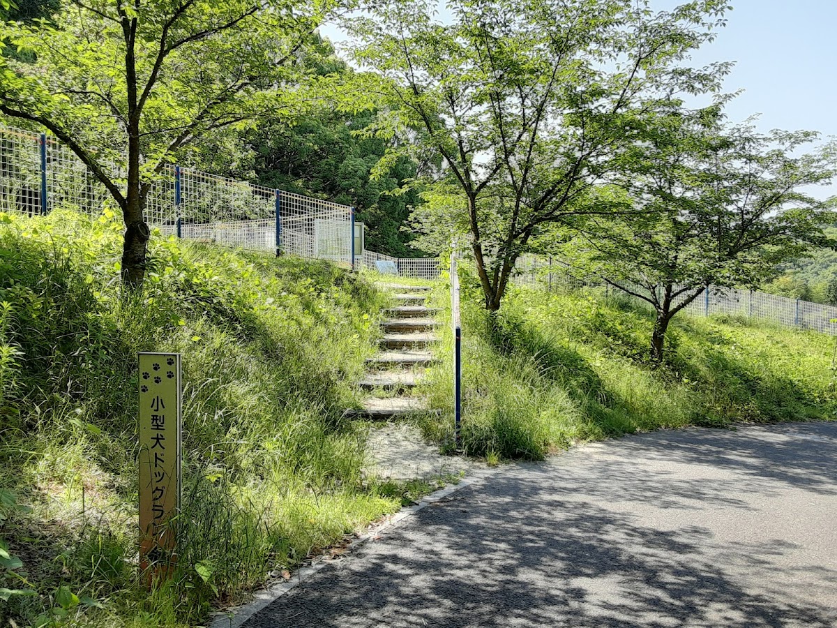 松山総合公園ドッグランの実際の写真