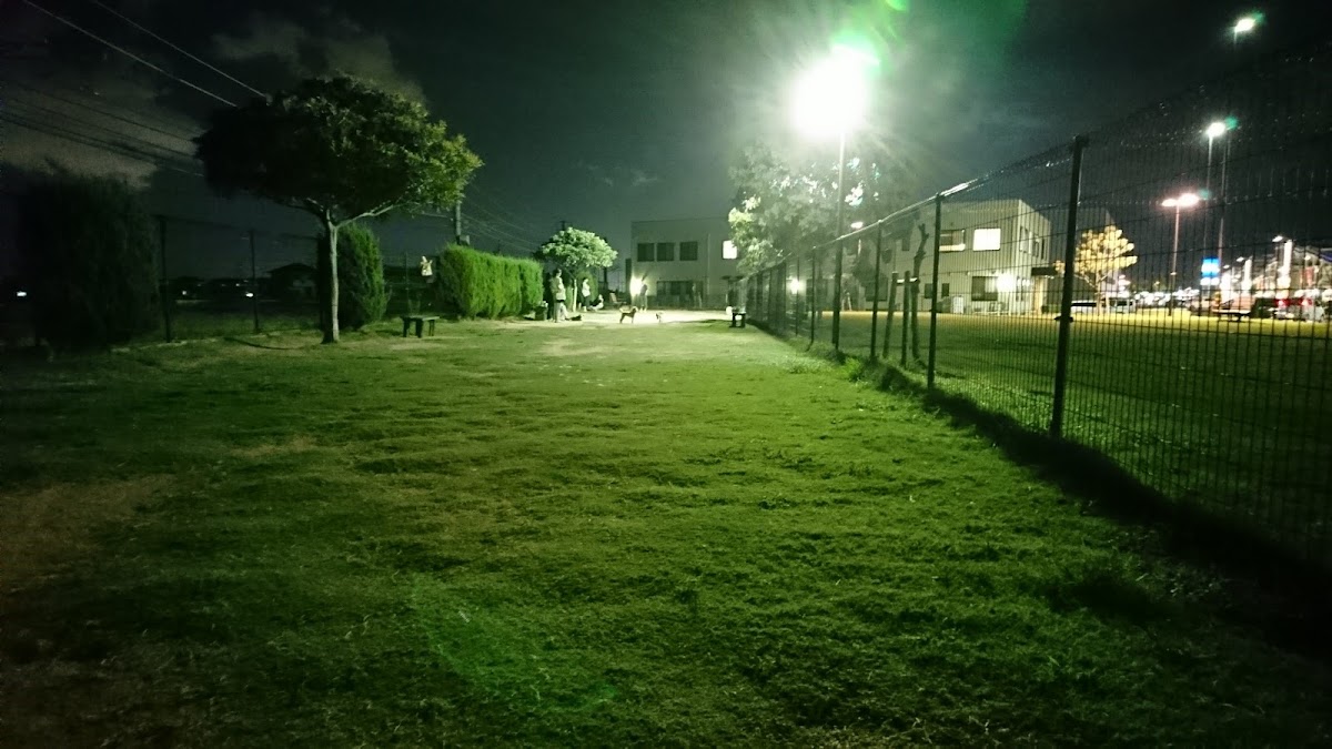 エミフルドッグランの実際の写真