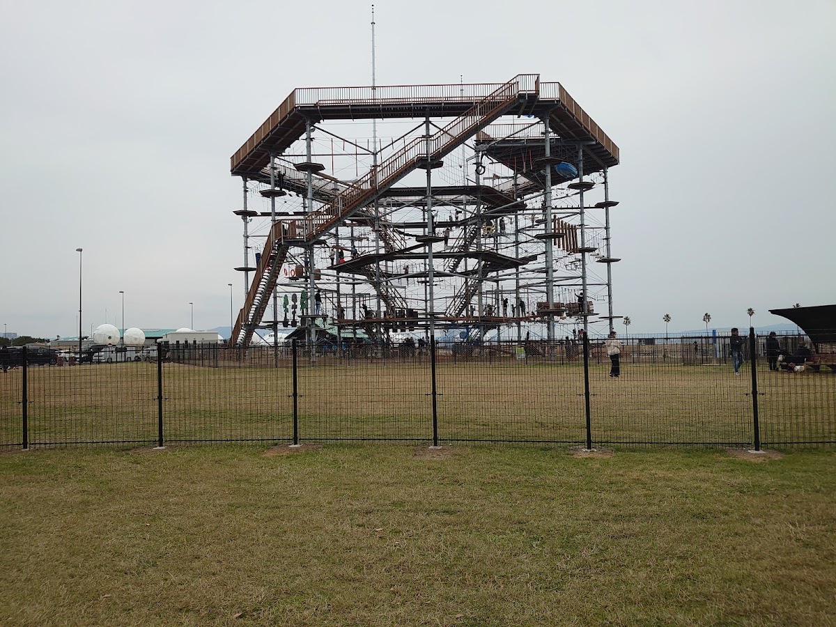 ドッグラン（海の中道海浜公園）の実際の写真