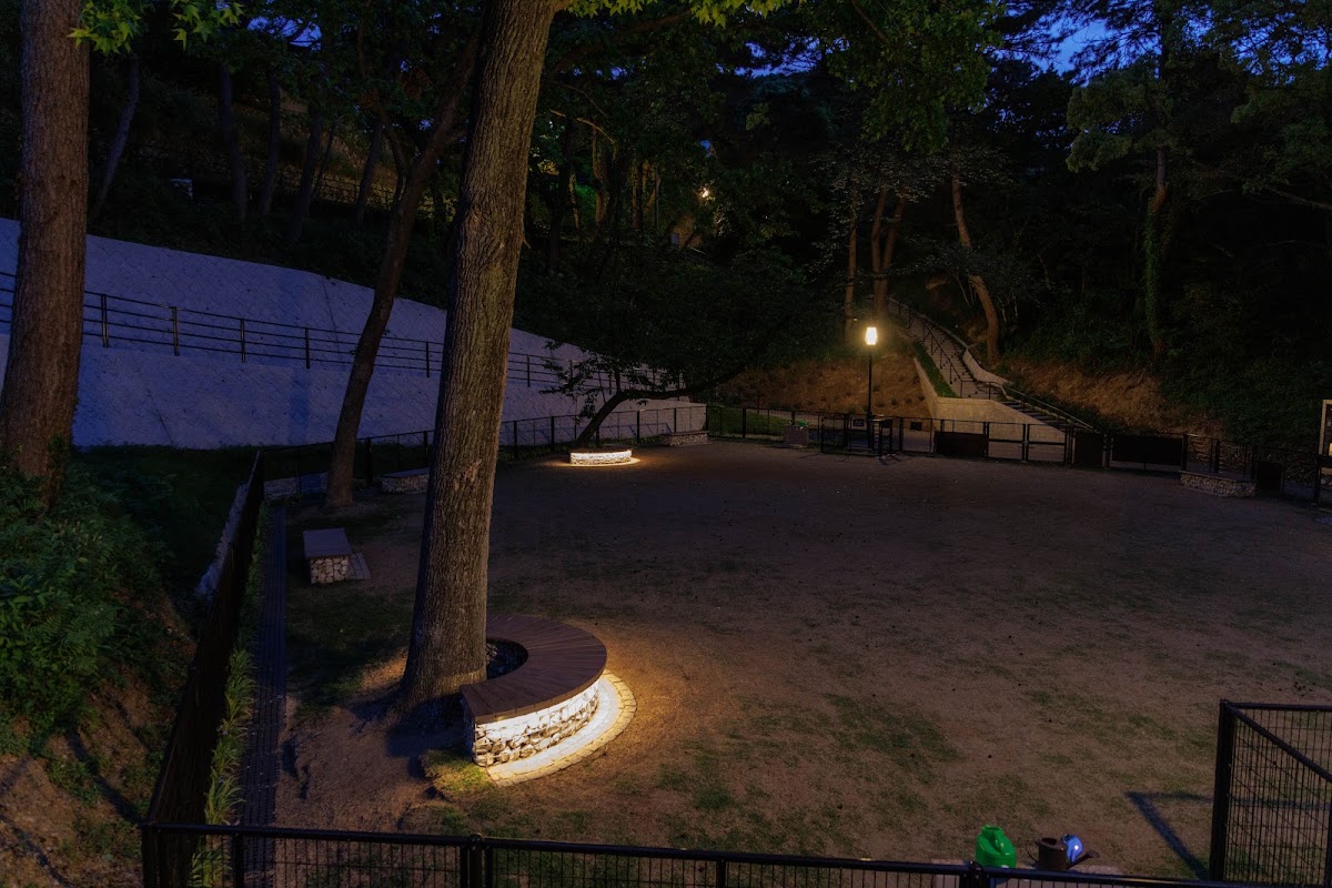 県営西公園ドッグランの実際の写真