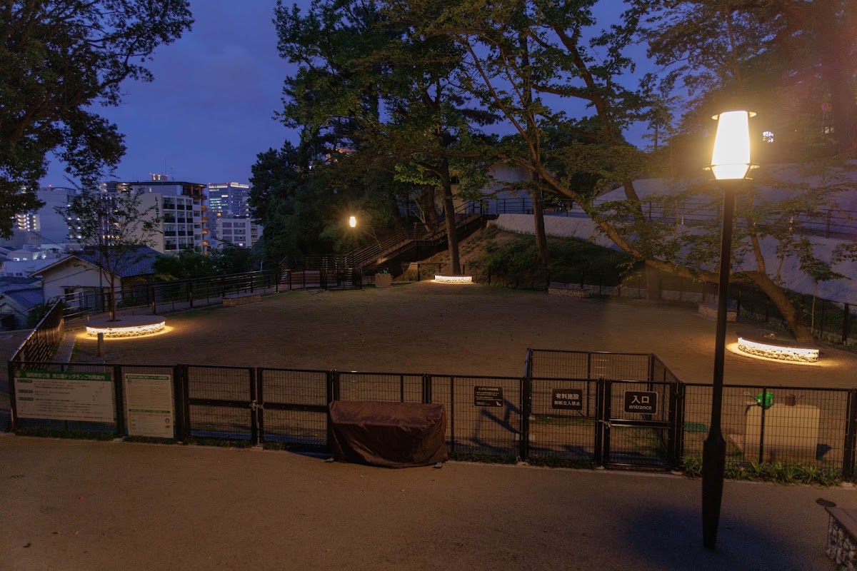 県営西公園ドッグランの実際の写真
