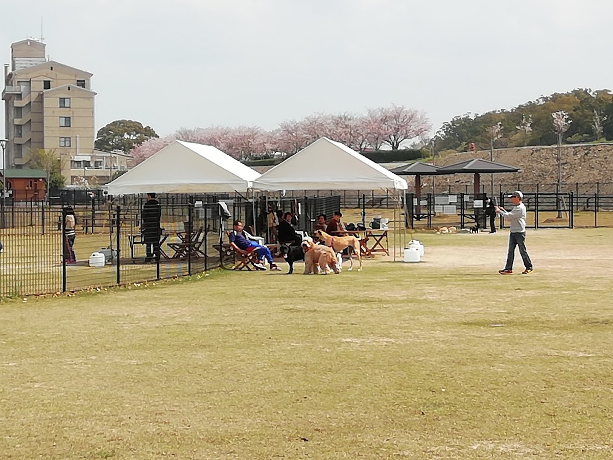筑後広域公園 ドッグランの実際の写真