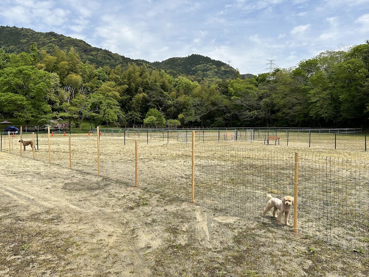わんわんビレッジの実際の写真
