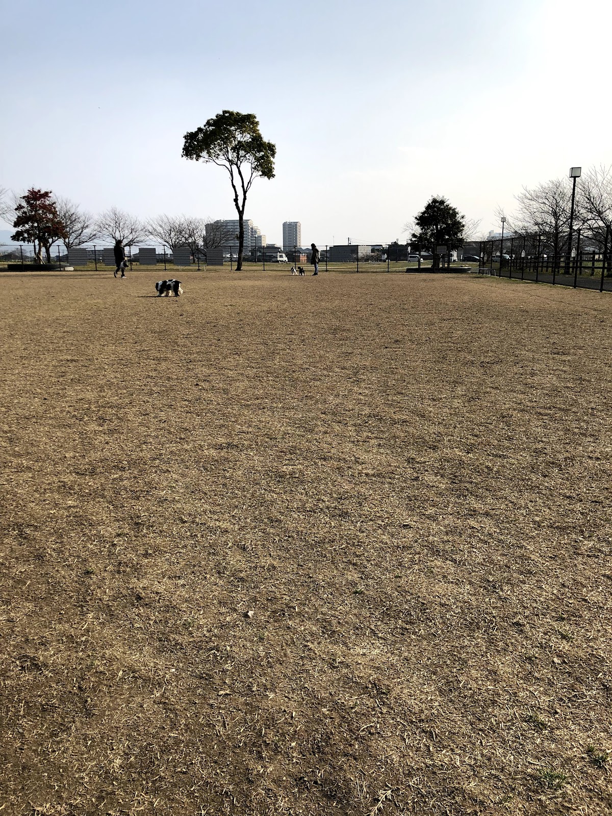 リバーサイドパークドッグランの実際の写真