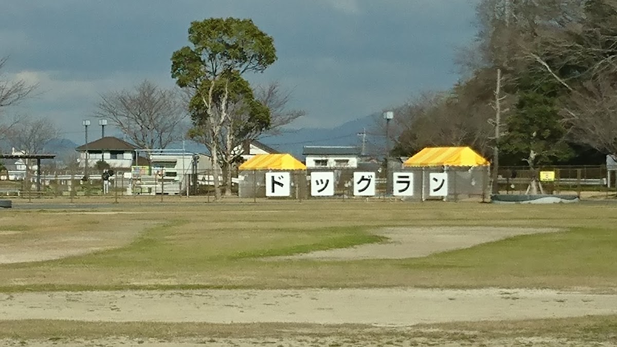 リバーサイドパークドッグランの実際の写真