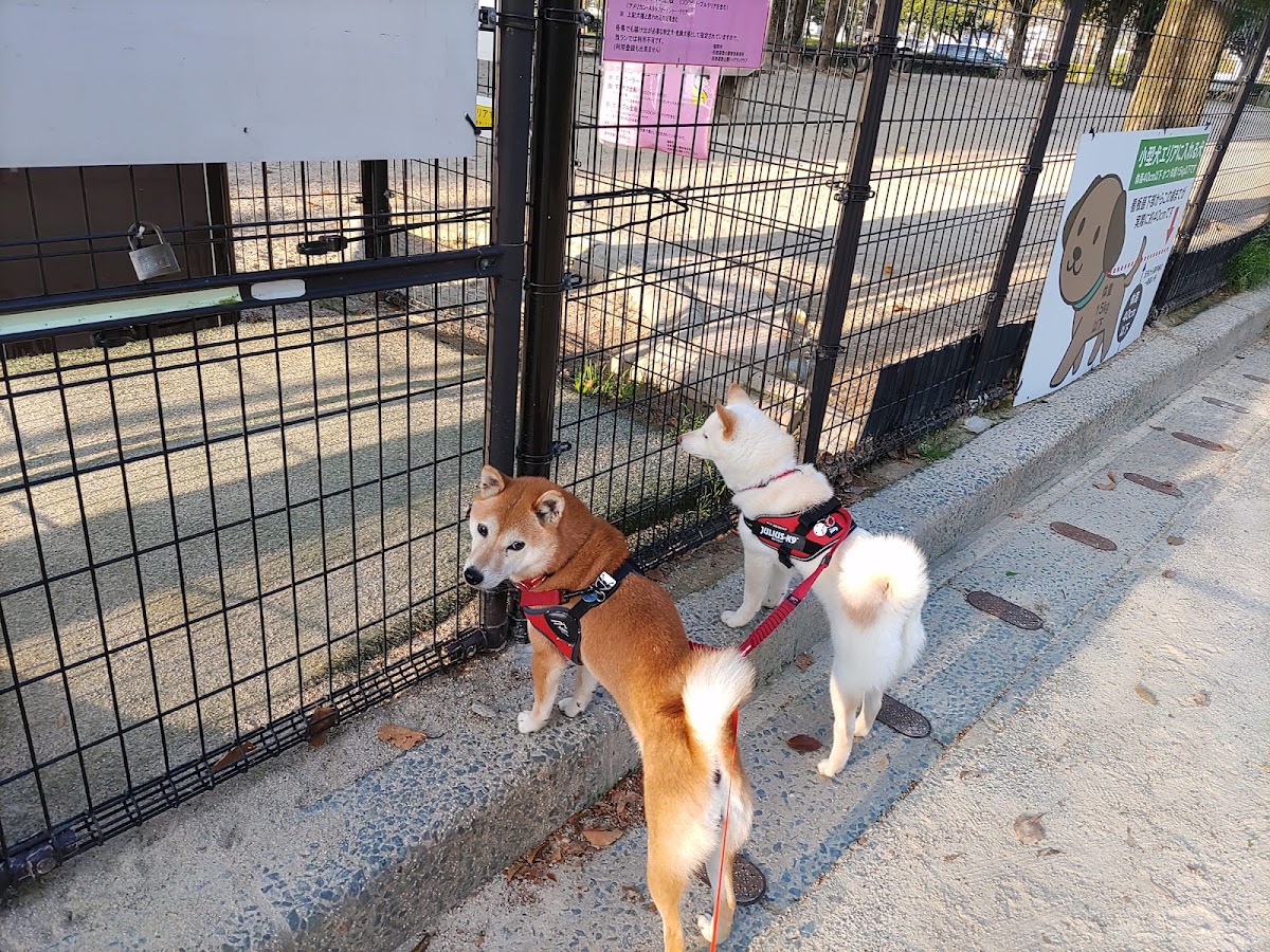 西部運動公園ドッグラン
