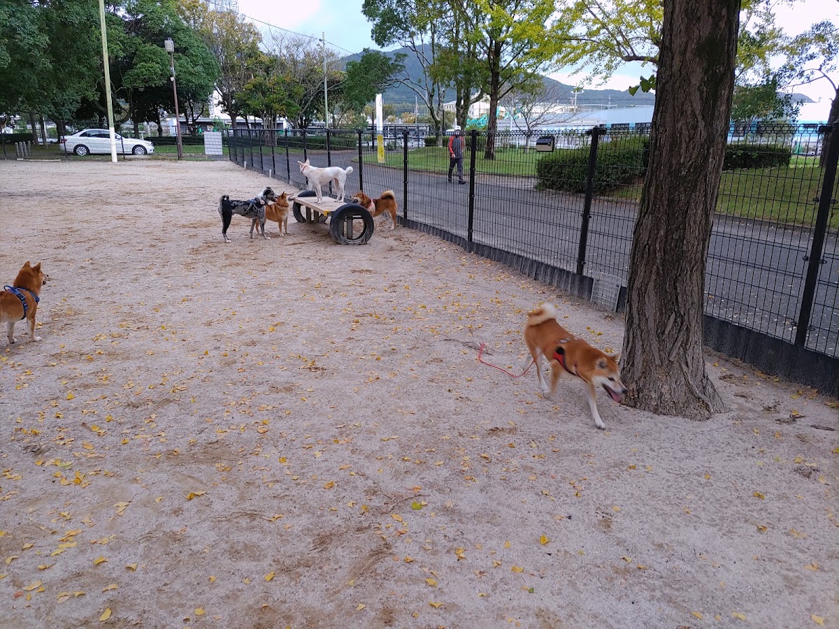 西部運動公園ドッグランの実際の写真