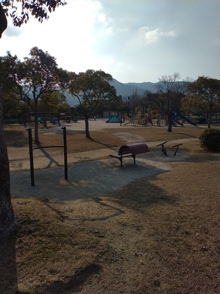 西部運動公園ドッグランの実際の写真