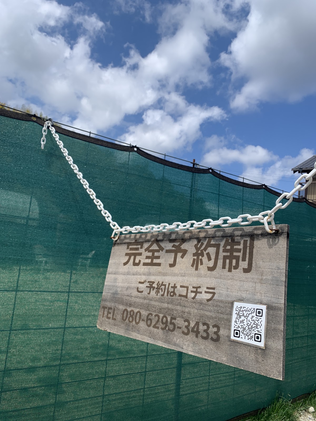 ドックランウルの木の実際の写真
