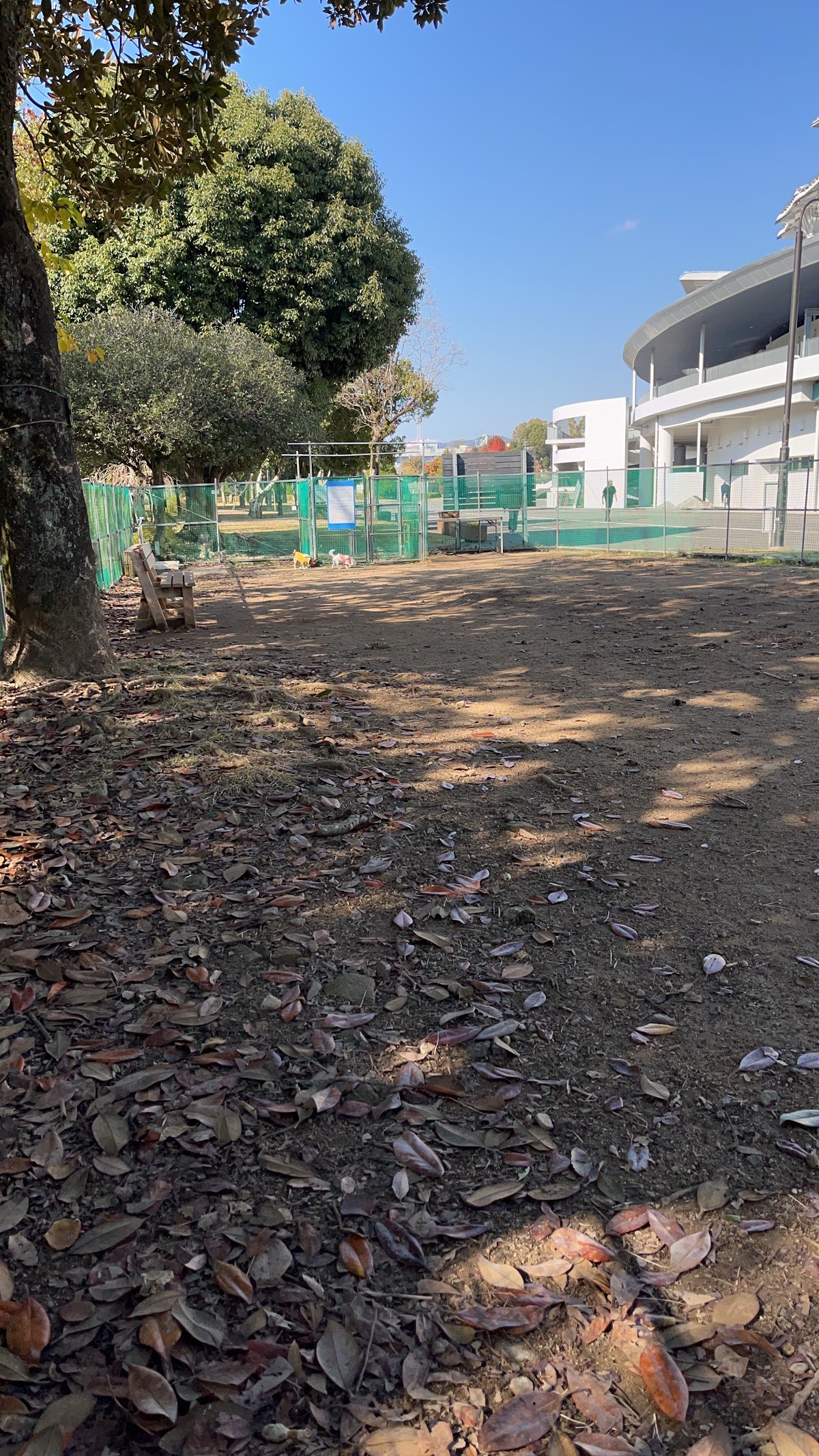 長崎県立総合運動公園 ドッグラン