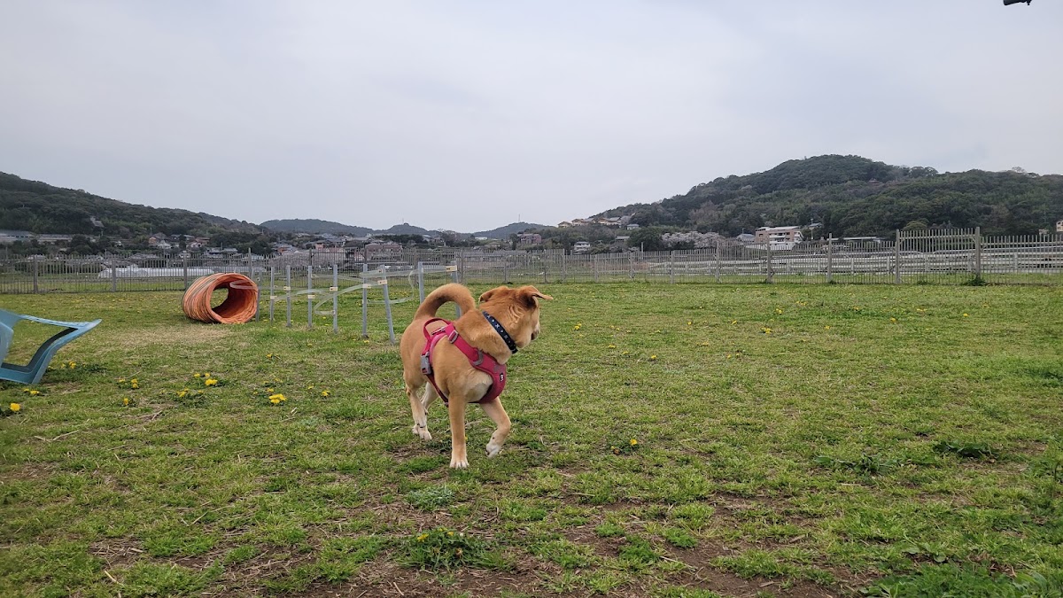 カラコカラフィールド（ドッグラン）