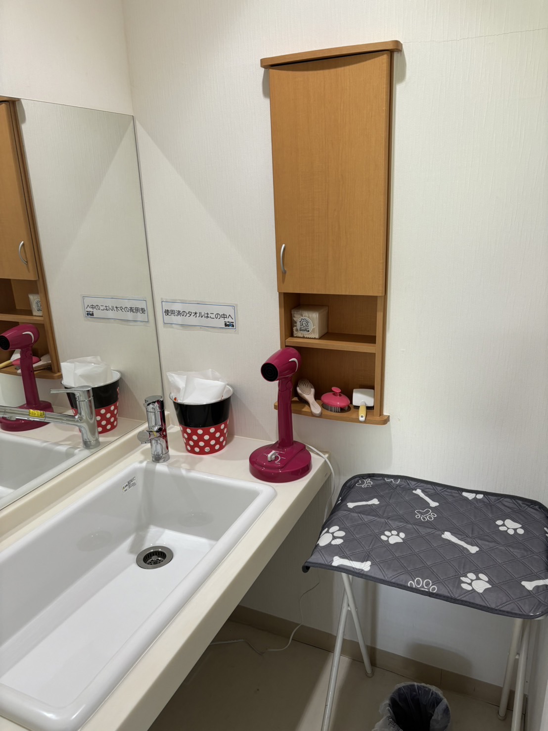 室内ドッグラン わんランroomSoRaの実際の写真