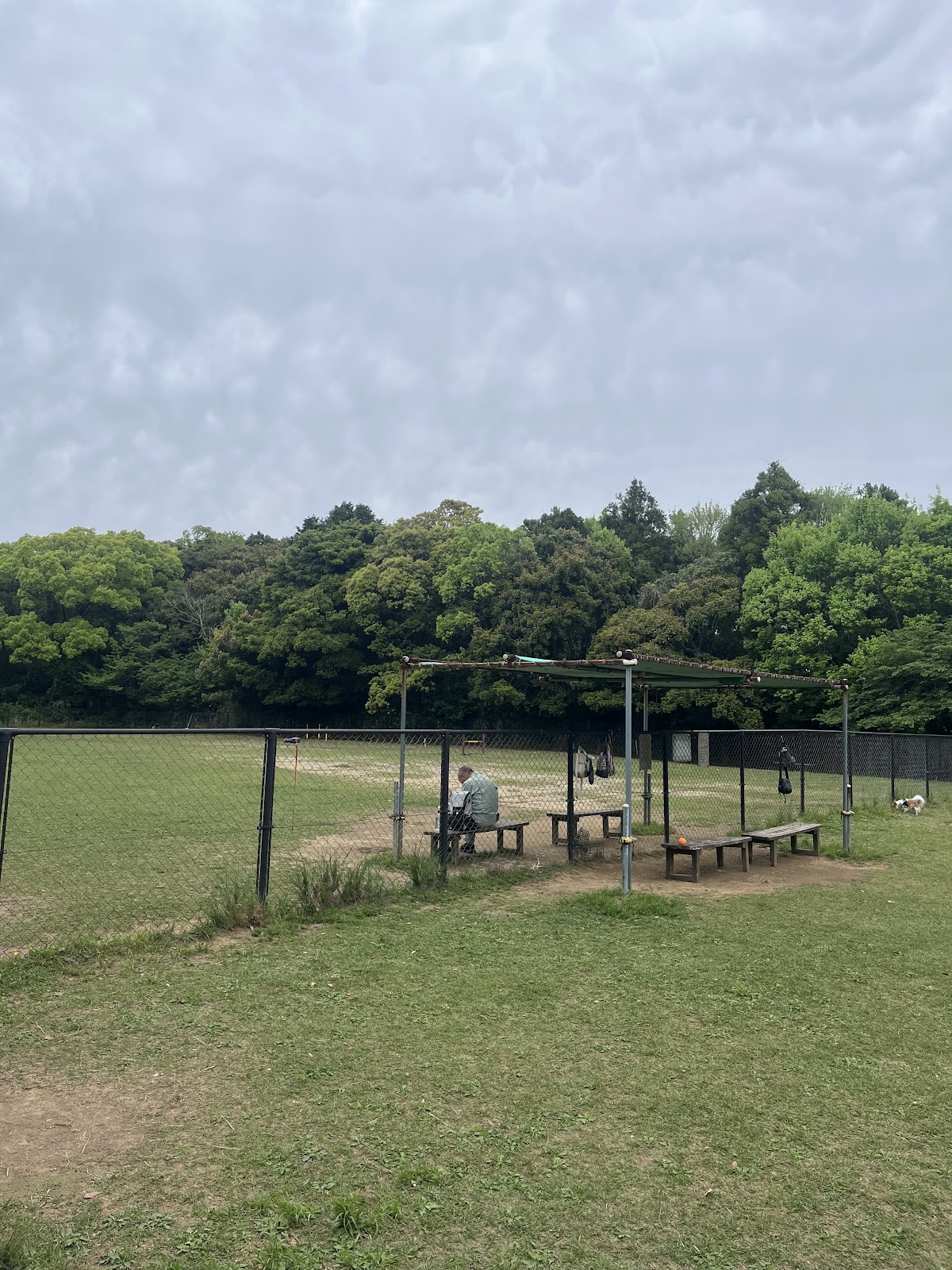 稲佐山公園 ドッグラン